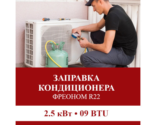 Заправка кондиционера Pioneer фреоном R22 до 2.5 кВт (09 BTU)